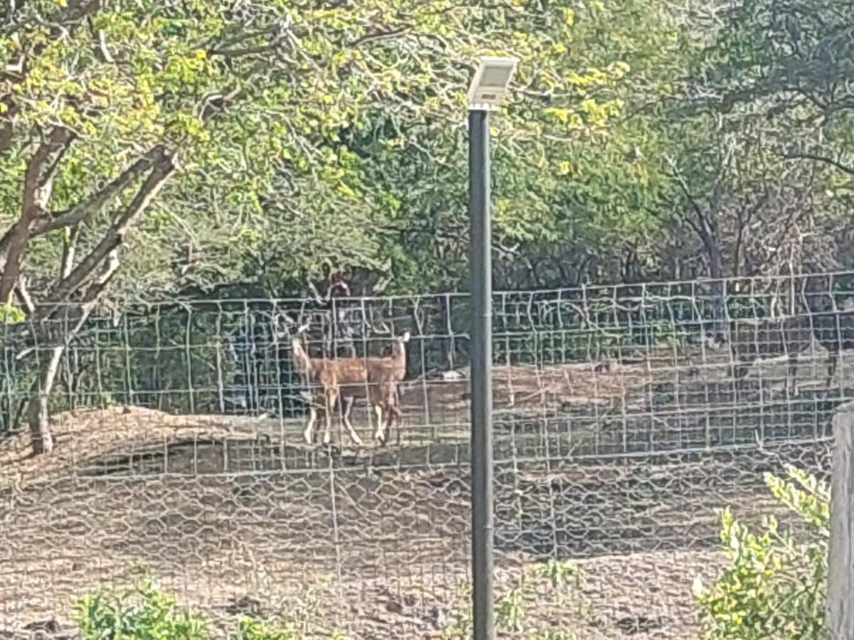 Laolabatwo Villa La Gaulette Bagian luar foto